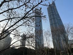 -陆家嘴中心绿地