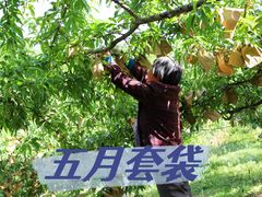 -郴州特产舜华临武鸭(郴州西站店)