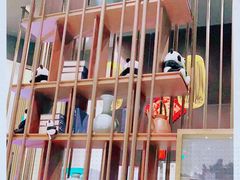 -眉州东坡(上海中心店)
