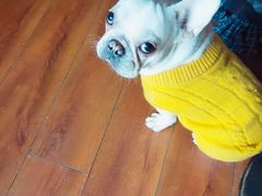 -Meowの猫咖(万家丽店)