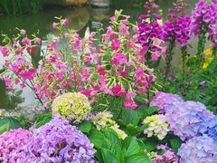 -人民公园(罗湖区)