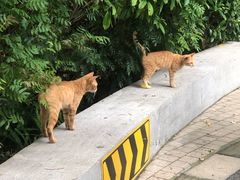 -广州市白云山风景名胜区