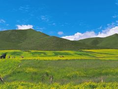 -扁都口生态休闲旅游区