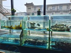 -桃源村铁锅炖鱼(体育馆道店)
