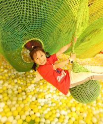 -宝燕乐园(闵行旗舰店)