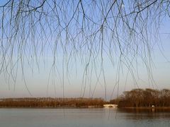 -大兴滨河森林公园