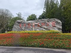 -东平国家森林公园