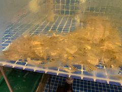 -面道赞宁海海鲜面(迎凤街店)