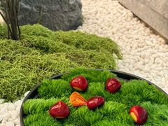 -滩外滩·本帮江浙菜(新天地店)