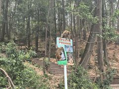 -黔灵山公园