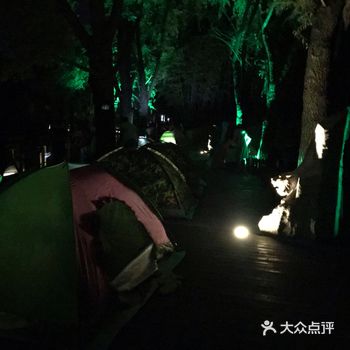 可以就地露营,有精彩的演出,有浪漫的萤火虫