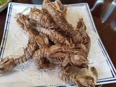 -宾朋海鲜特色美食餐厅·纯手工鲅鱼水饺(兴海路店)