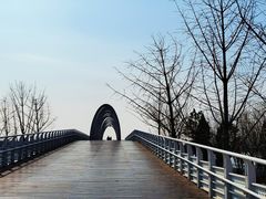 -大兴滨河森林公园