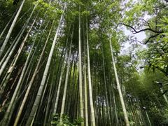 -杭州黄龙洞