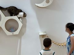 -1013 PET SHOP精品宠物商店(丁香店)