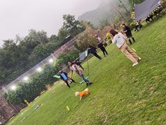 -WE ME 伴山营地·城市露营·团建策划
