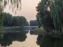 -马家湾湿地公园