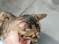 -万松老人塔