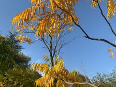 -钟山体育运动公园