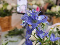 -隆德堂青瓷艺术·茶馆(故宫店)