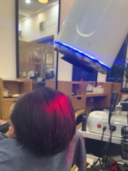 -章光101防脱养发荟