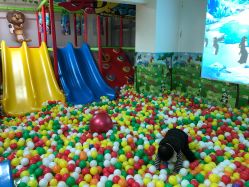 -美加乐儿童乐园(江宁文鼎广场店)