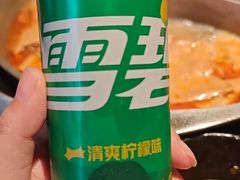 -宽巷子成都火锅(南站店)