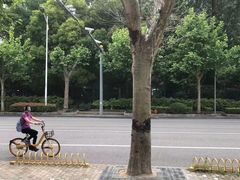 -福奈特洗衣洗鞋(广泉路店)