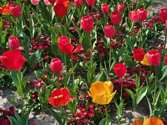 -杭州师范大学(下沙校区)