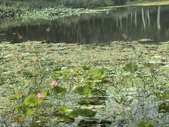 -北坞公园