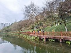 -重庆彩云湖湿地公园