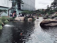 -罗红摄影艺术馆