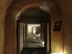 -洛阳古墓博物馆