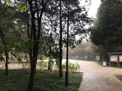 -元大都城垣遗址公园