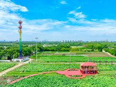 -嘉北郊野公园