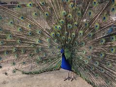 -宿豫区运河湾森林动物园