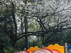 -杭州少年儿童公园