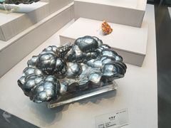 -湖南省地质博物馆