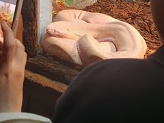 -石家庄市动物园