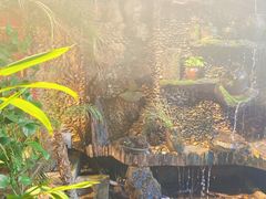 -大匠工房古船木艺术餐厅·猪肚鸡专门店(长白仙岛店)