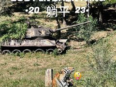 -沈阳森林动物园