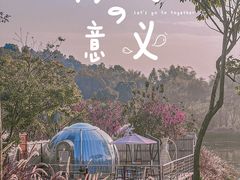 -南丹山森林王国