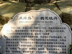 -太阳宫公园