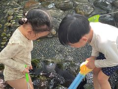 -成都市活水公园