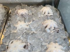 -铭聚章鱼土笋冻(松柏店)