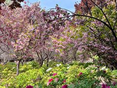 -曹州百花园