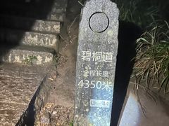 -梧桐山风景名胜区