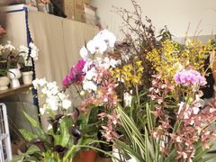 -卓花境Flowerwonderland花店