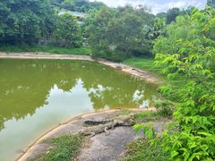 -泉州海丝野生动物世界