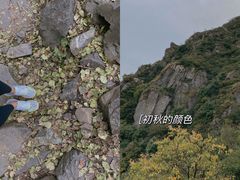 -阳台山自然风景区